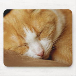 Schlafkitten Mousepad