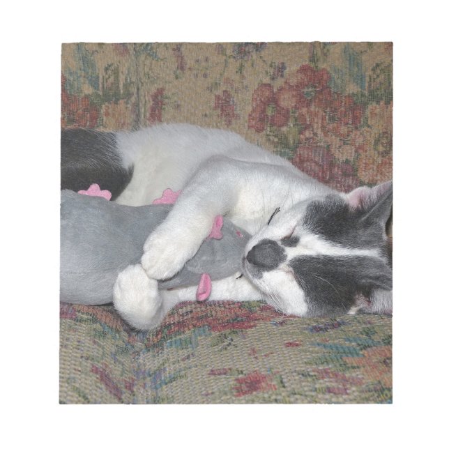 Schlafkitten Notizblock (Vorderseite)