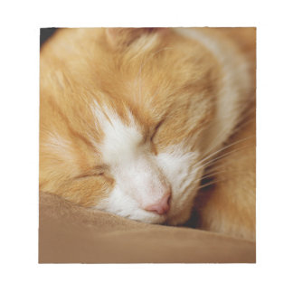 Schlafkitten Notizblock