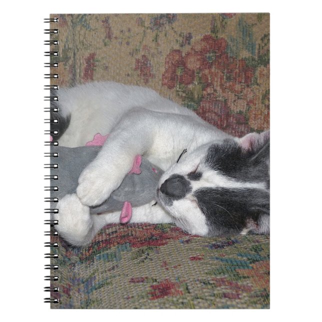 Schlafkitten Notizblock (Vorderseite)
