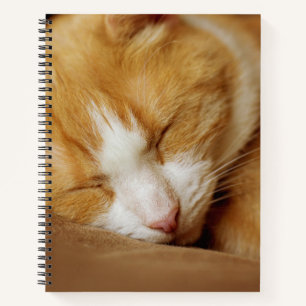 Schlafkitten Notizbuch