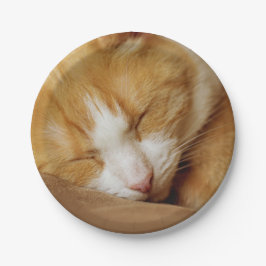 Schlafkitten Pappteller