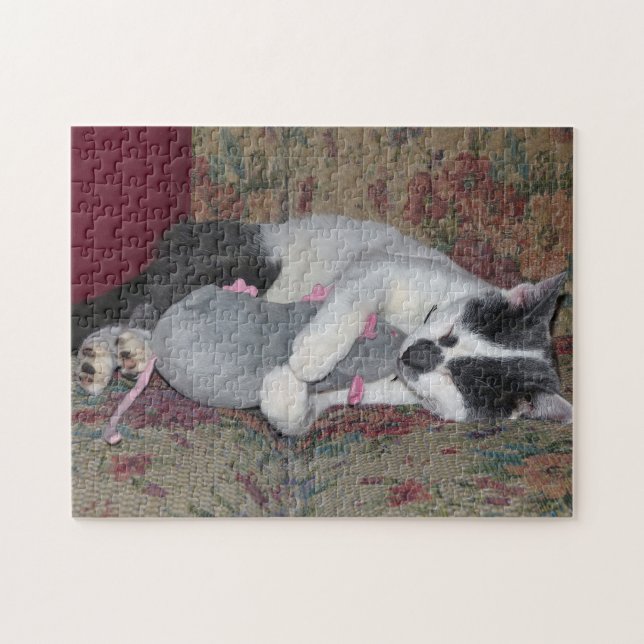 Schlafkitten Puzzle (Horizontal)