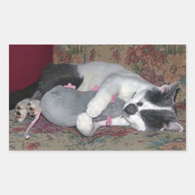 Schlafkitten Rechteckiger Aufkleber (Vorderseite)