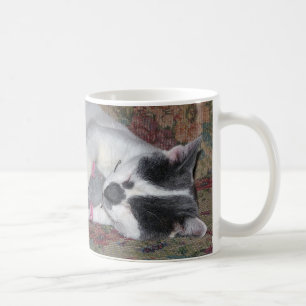 Schlafkitten Tasse