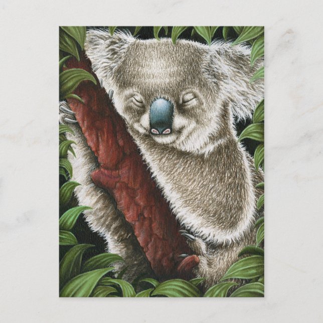 Schlafkoala Postcard Postkarte (Vorderseite)