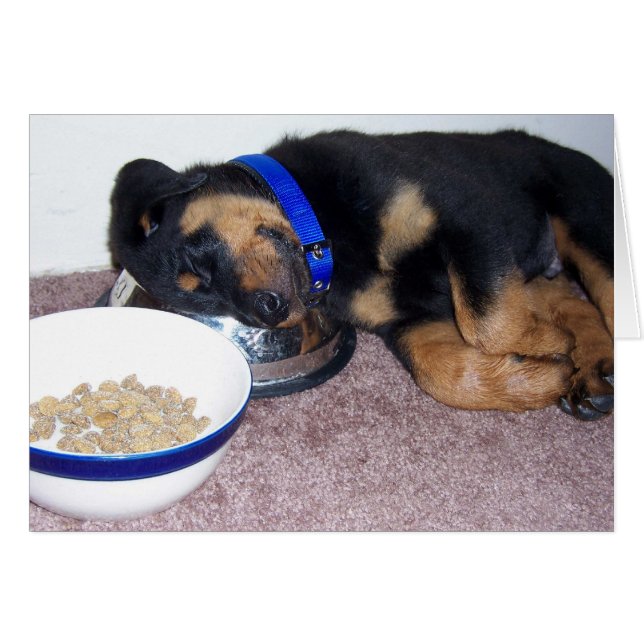 Schlafkopfrottweiler. (Vorderseite (Horizontal))