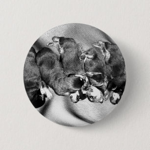 Schlafkopfwelpen Button