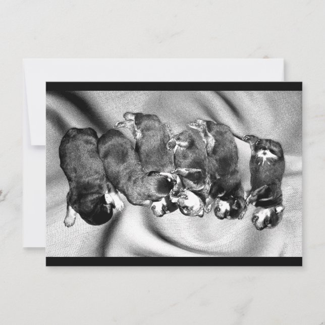 Schlafkopfwelpen Einladung (Vorderseite)