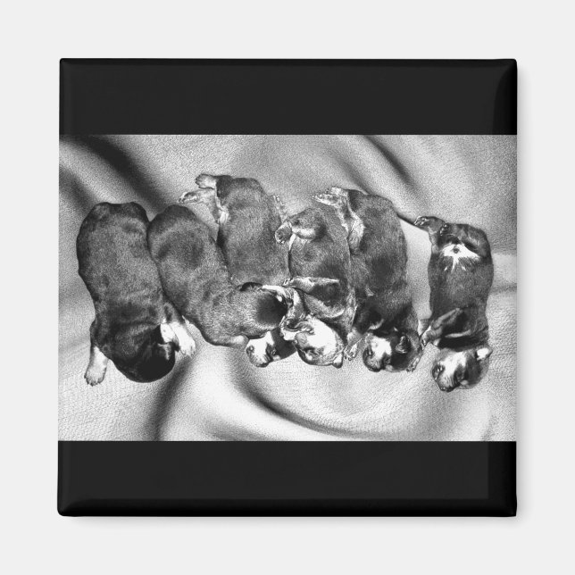 Schlafkopfwelpen Magnet (Vorne)