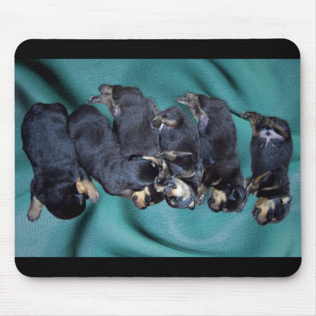 Schlafkopfwelpen Mousepad (Vorne)