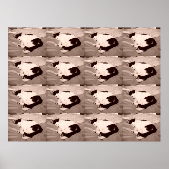 Schlafküche/Schwarz/Weiß Foto Poster (Vorne)