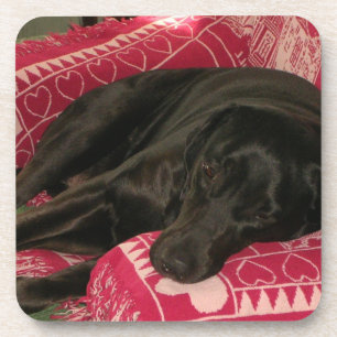 Schlaflose Hunde Untersetzer - Set von 6 Jahren