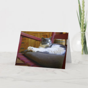 Schlaflose Katze / Geburtstagskarte Karte