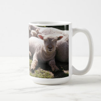 Schlaflose Lämmer Kaffeetasse
