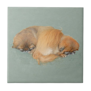 Schlaflosigkeit Nachmittag Fliese