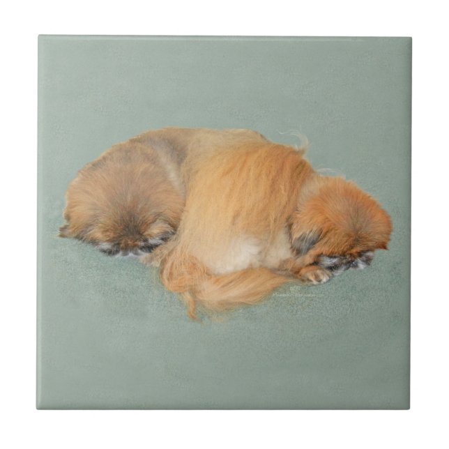 Schlaflosigkeit Nachmittag Fliese (Vorderseite)