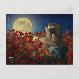 Schlaflosigkeit Postkarte