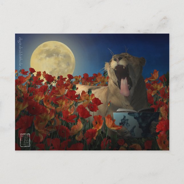 Schlaflosigkeit Postkarte (Vorderseite)