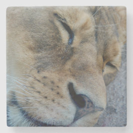 Schlaflosigkeit Steinuntersetzer