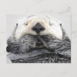 Schlafmeer Otter Postkarte