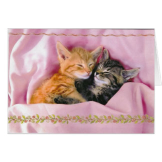 Schlafmittel; ausgespuckt