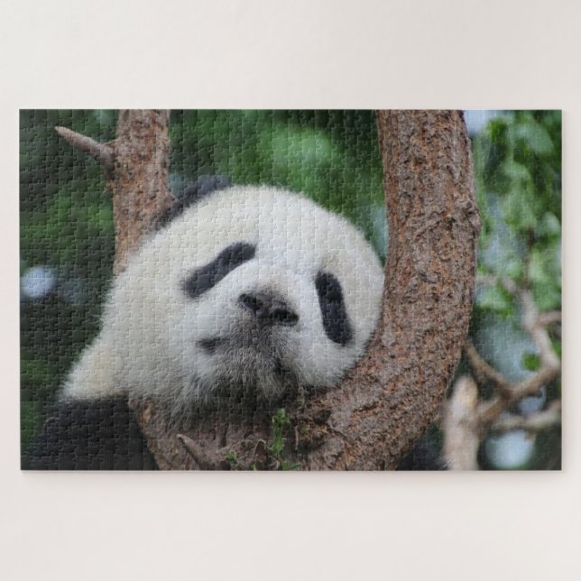 Schlafpanda auf einem Baum Puzzle (Horizontal)