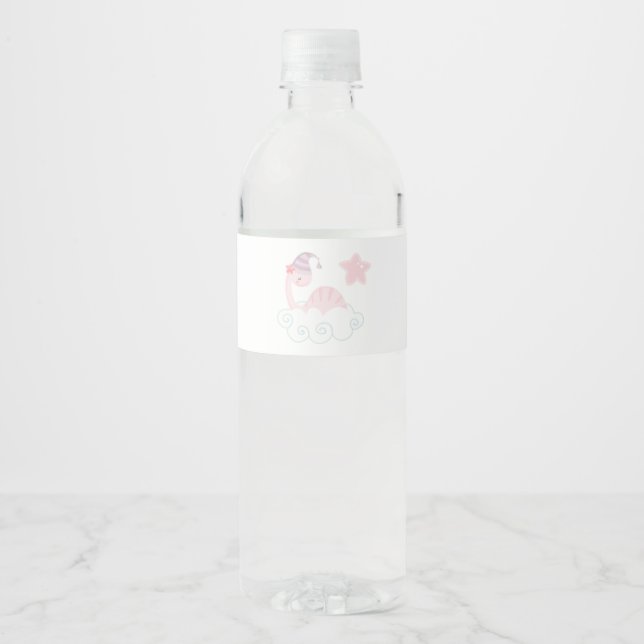 Schlafpink Dinosaurier Wasserflaschenetikett (Vorderseite)