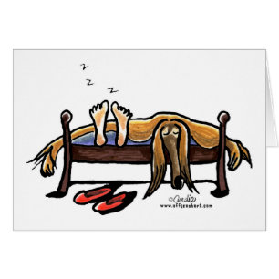 Schlafplätze mit Afghanen