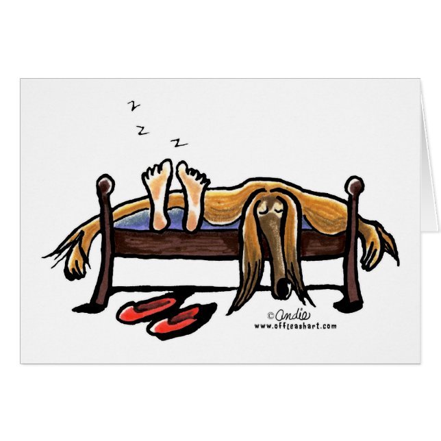 Schlafplätze mit Afghanen (Vorderseite (Horizontal))