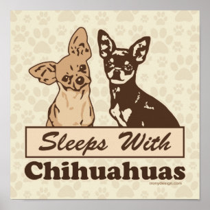 Schlafplätze mit Chihuahuas Hund Poster