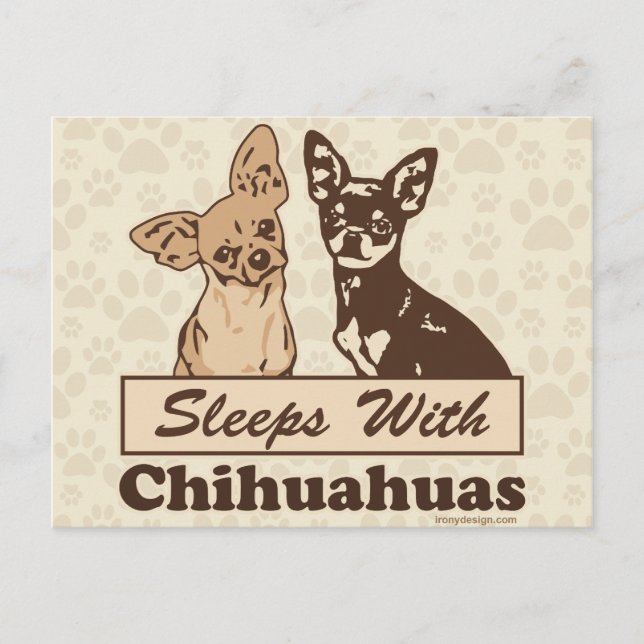 Schlafplätze mit Chihuahuas Postkarte (Vorderseite)