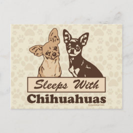 Schlafplätze mit Chihuahuas Postkarte