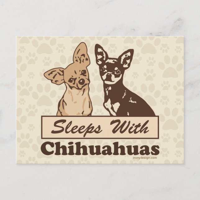 Schlafplätze mit Chihuahuas Postkarte (Vorderseite)
