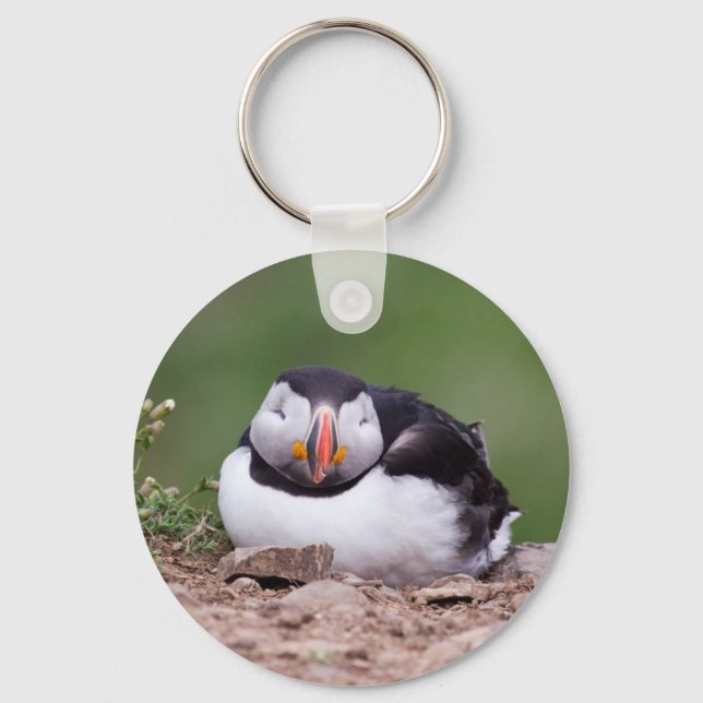 Schlafpuffin Schlüsselanhänger (Vorderseite)