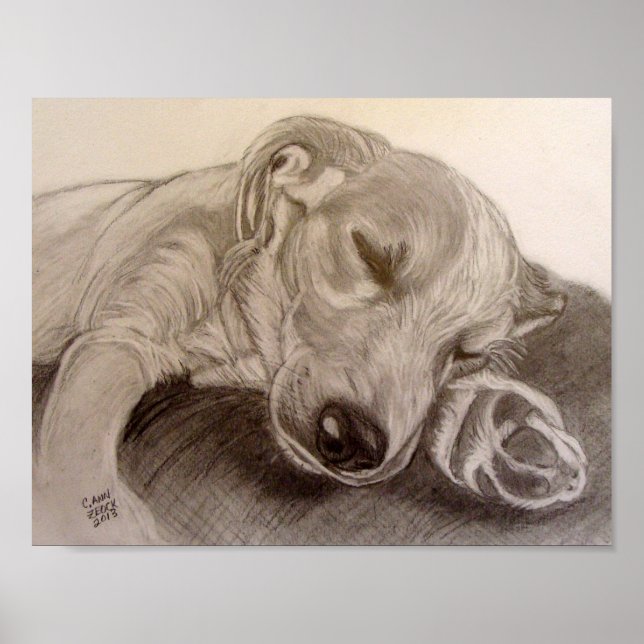 Schlafpuppe Poster (Vorne)