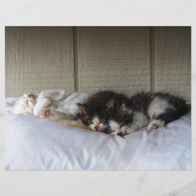 Schlafräume (Vorderseite)