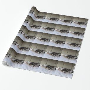 Schlafräume Geschenkpapier