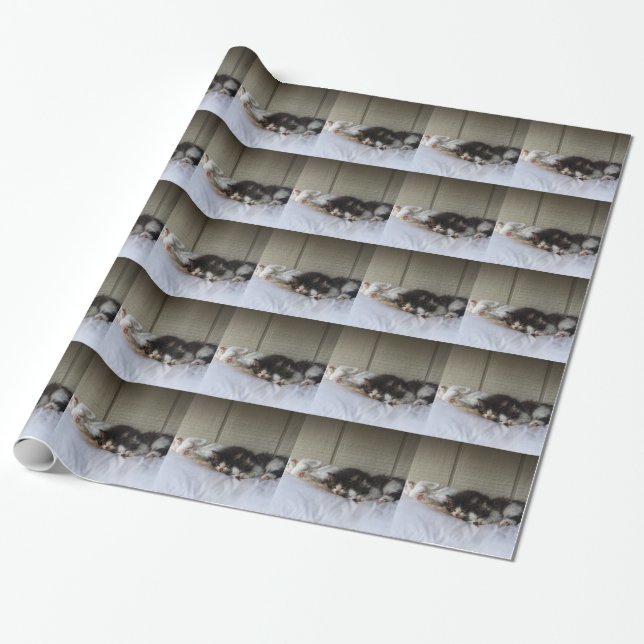 Schlafräume Geschenkpapier (Ungerollt)