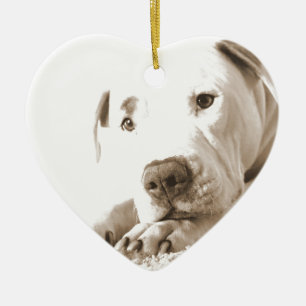 schläfrig-freundliche, weiße Pitbulle Hassdee nich Keramikornament