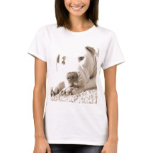 schläfrig-freundliche, weiße Pitbulle Hassdee nich