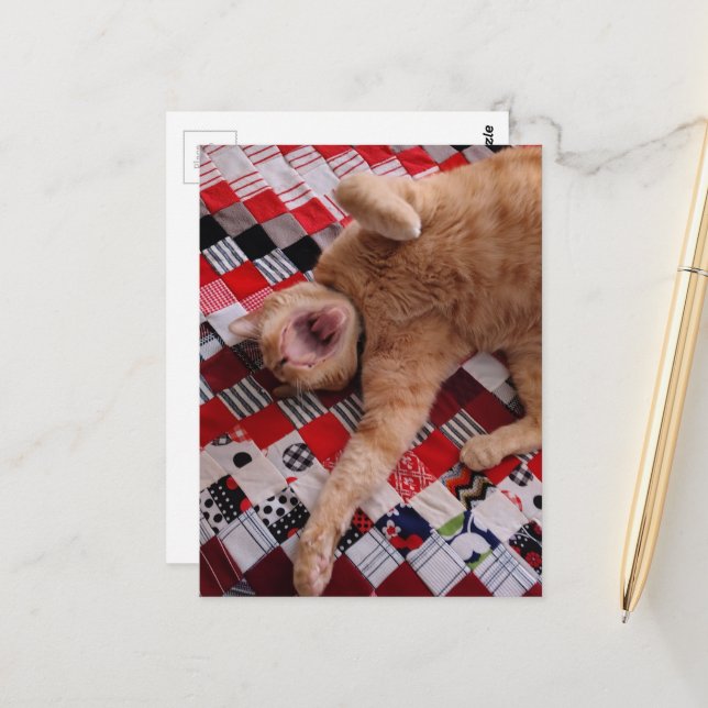 Schläfrige Ingwerkitty mit großem Gähnen Postkarte (Vorderseite/Rückseite Beispiel)