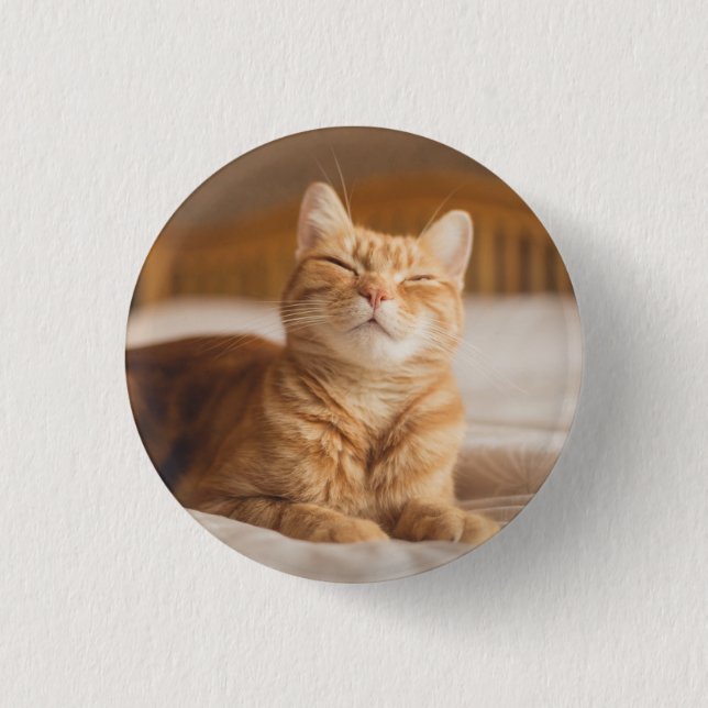Schläfrige Katze Getty Bild-| Button (Vorderseite)