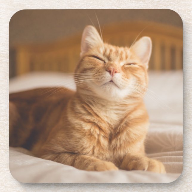 Schläfrige Katze Getty Bild-| Getränkeuntersetzer (Vorderseite)