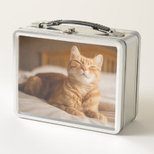 Schläfrige Katze Getty Bild- Metall Lunch Box