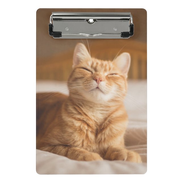 Schläfrige Katze Getty Bild-| Mini Klemmbrett (Vorderseite)