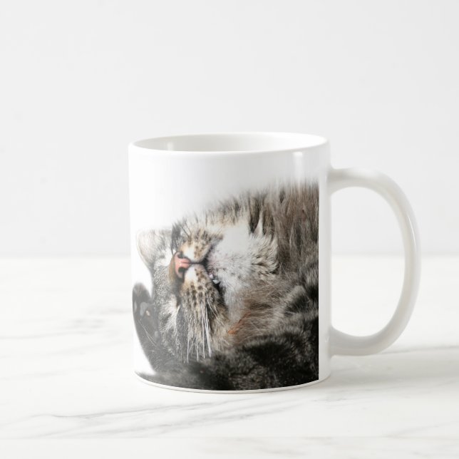 Schläfrige Katze will Kaffee Kaffeetasse (Rechts)