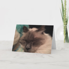 Schläfrige Katzen-Gruß-Karte (Landschaft) Karte