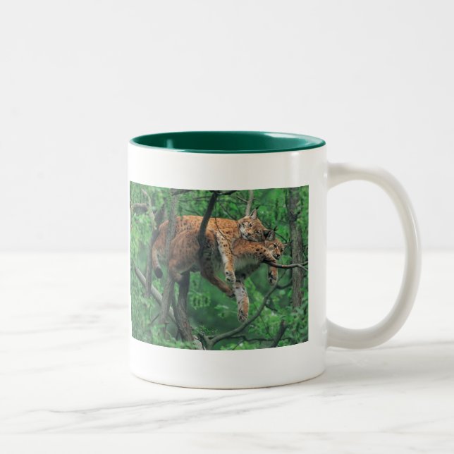 Schläfrige Katzen Zweifarbige Tasse (Rechts)