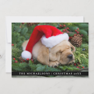 Schläfrige Labrador Retriever Welpe mit Weihnacht Feiertagskarte